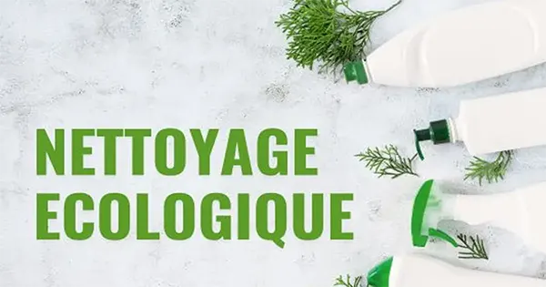 Nettoyage écologique professionnel à Toulon par Prestaclean - Produits bio et techniques respectueuses de l'environnement
