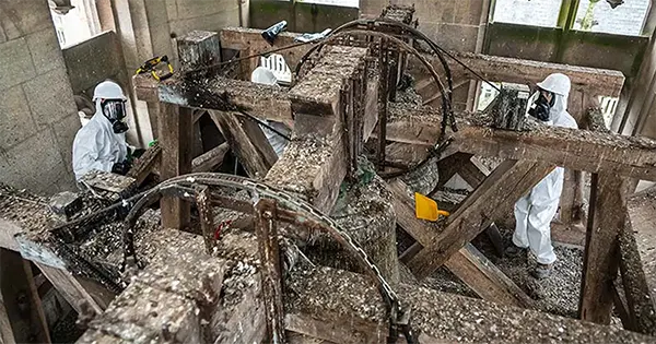 Équipe Prestaclean nettoyant des fientes de pigeons à Toulon