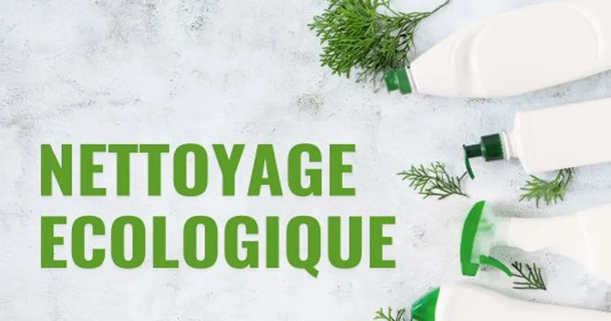 Nettoyage écologique professionnel à Toulon par Prestaclean - Produits bio et techniques respectueuses de l'environnement